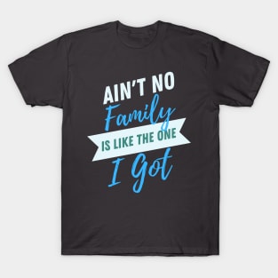 Aint No Family is like The One I Got- Typographic Design T-Shirt